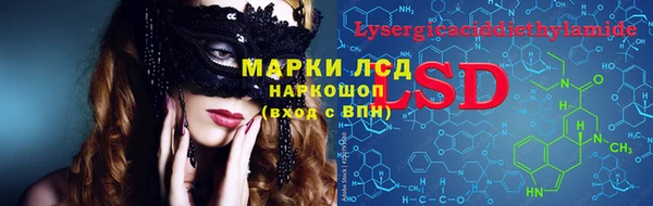 стафф Аркадак