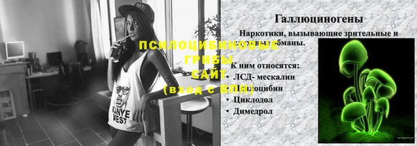 стафф Аркадак