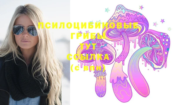 альфа пвп Армянск