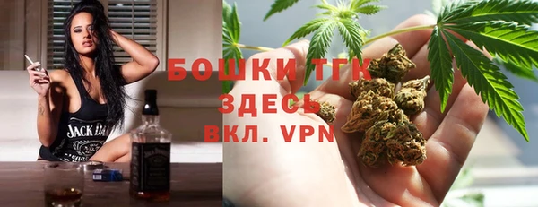 стафф Аркадак